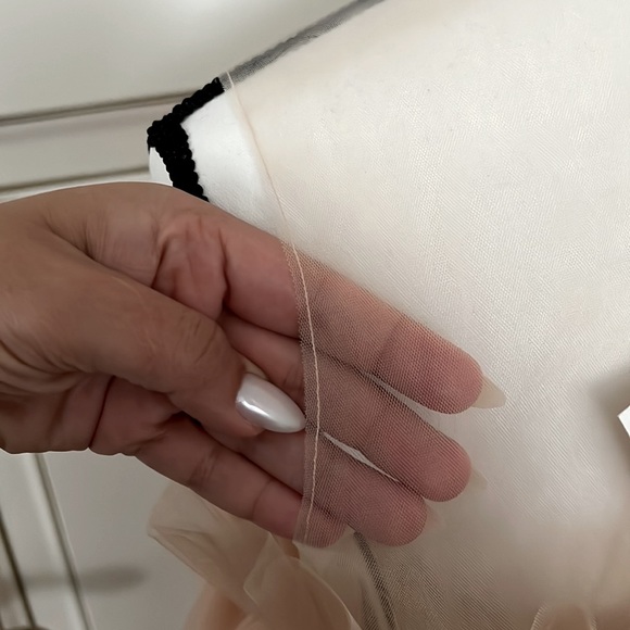 ZARA Tulle Dress Limited Edition Beige Pink Size L - Picture 10 of 13